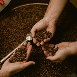 Kahve Asiditesi Nedir? Toptan Alımda Doğru Çekirdeği Seçme Kriterleri