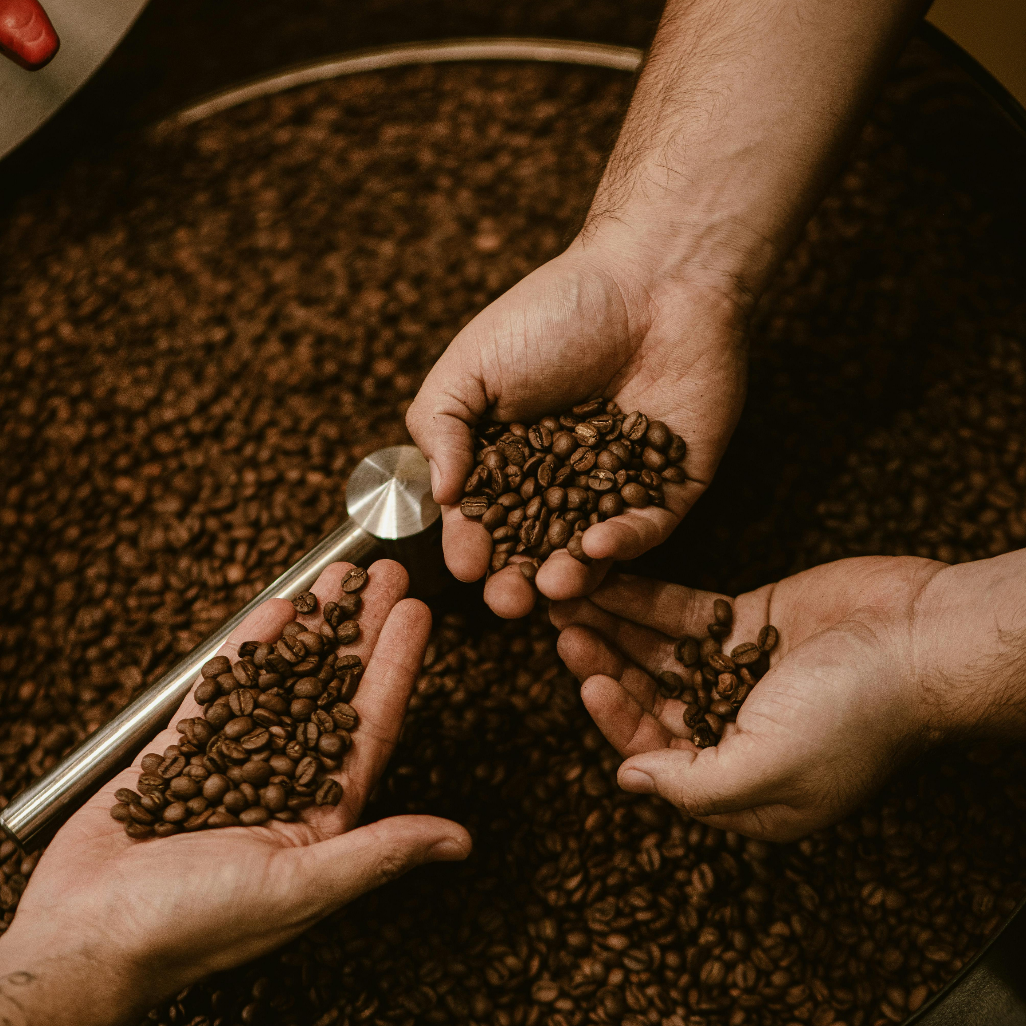 Kahve Asiditesi Nedir? Toptan Alımda Doğru Çekirdeği Seçme Kriterleri