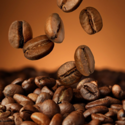 En Kaliteli Kahve Çekirdeği Türleri